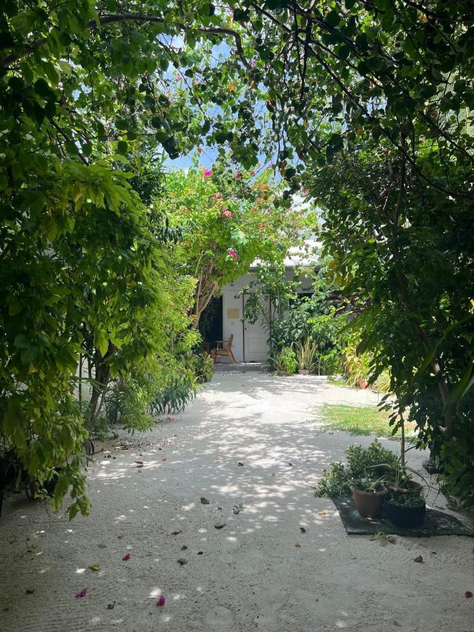 Lagoon Villa Maldives Thoddoo Zewnętrze zdjęcie