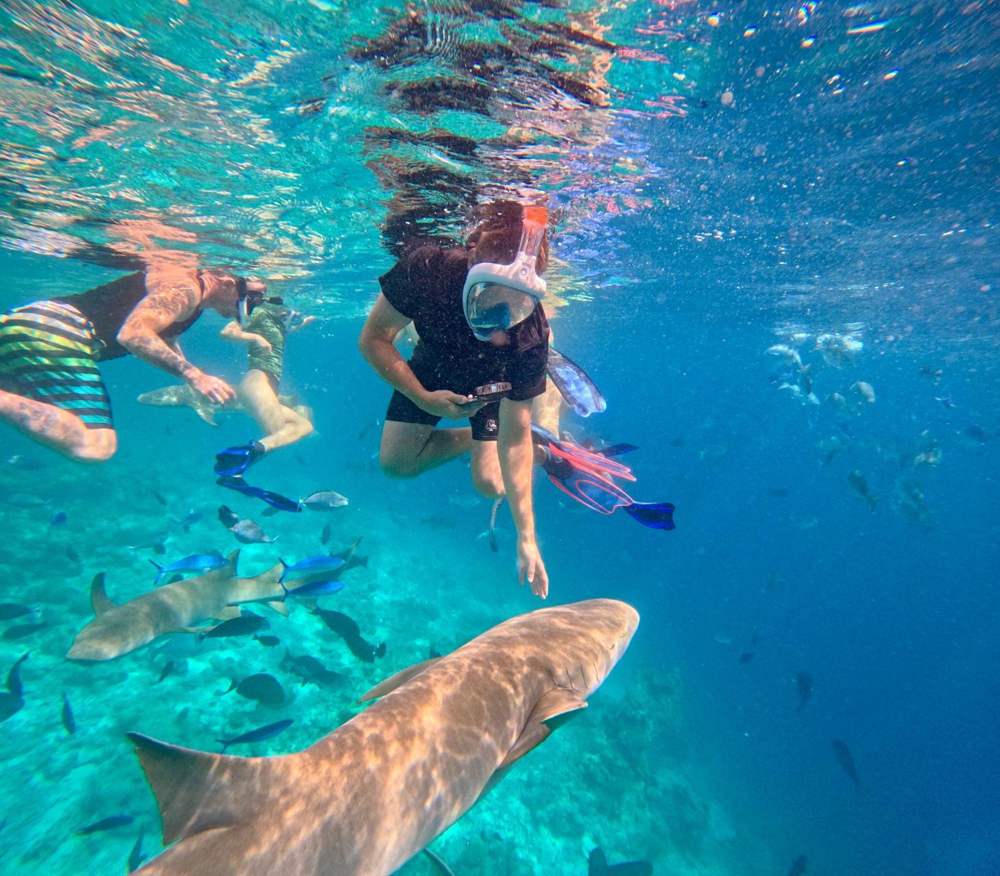Lagoon Villa Maldives Thoddoo Zewnętrze zdjęcie
