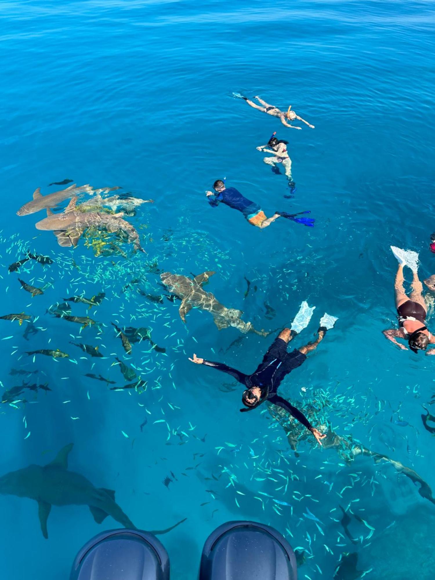 Lagoon Villa Maldives Thoddoo Zewnętrze zdjęcie