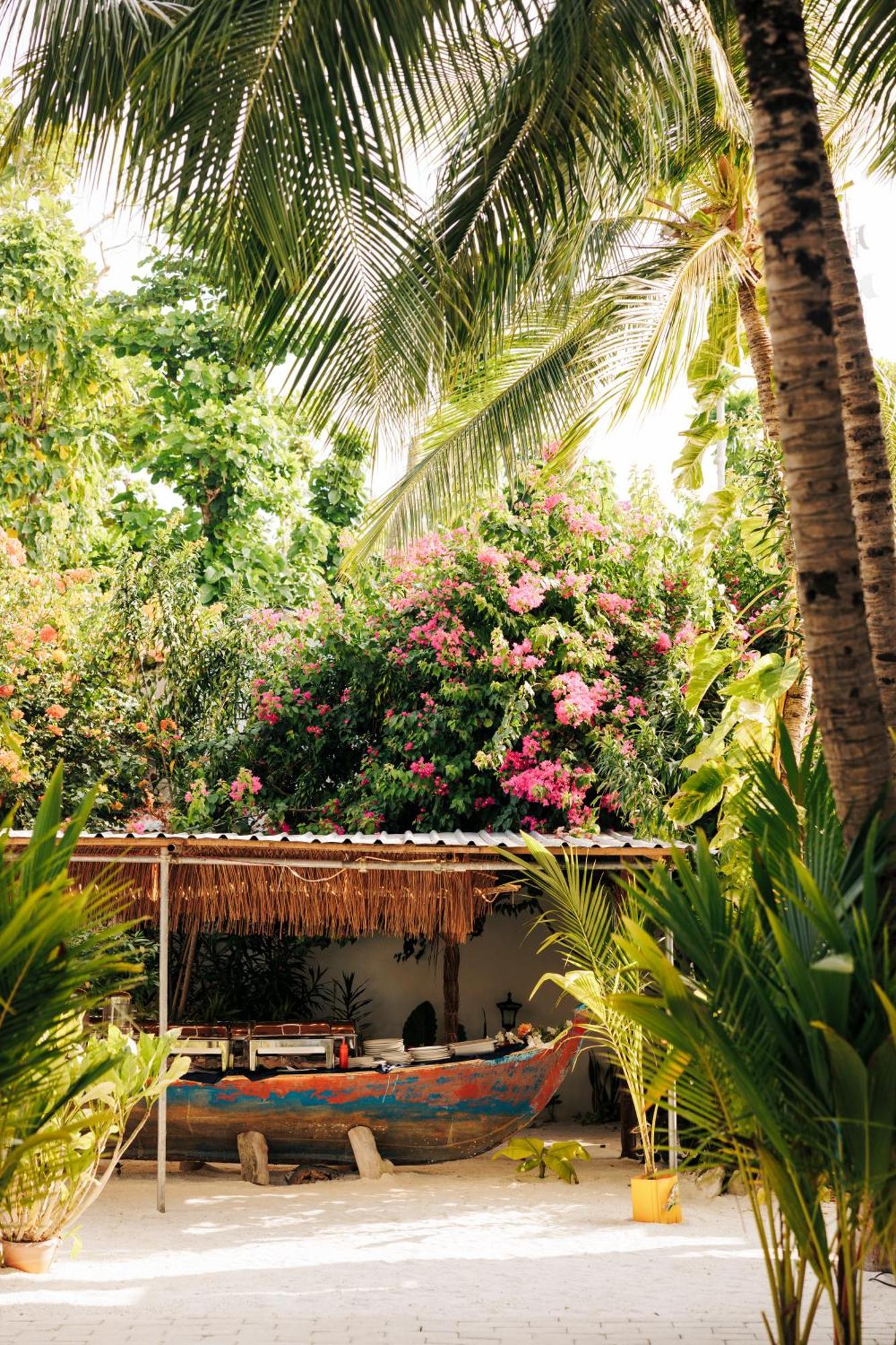 Lagoon Villa Maldives Thoddoo Zewnętrze zdjęcie