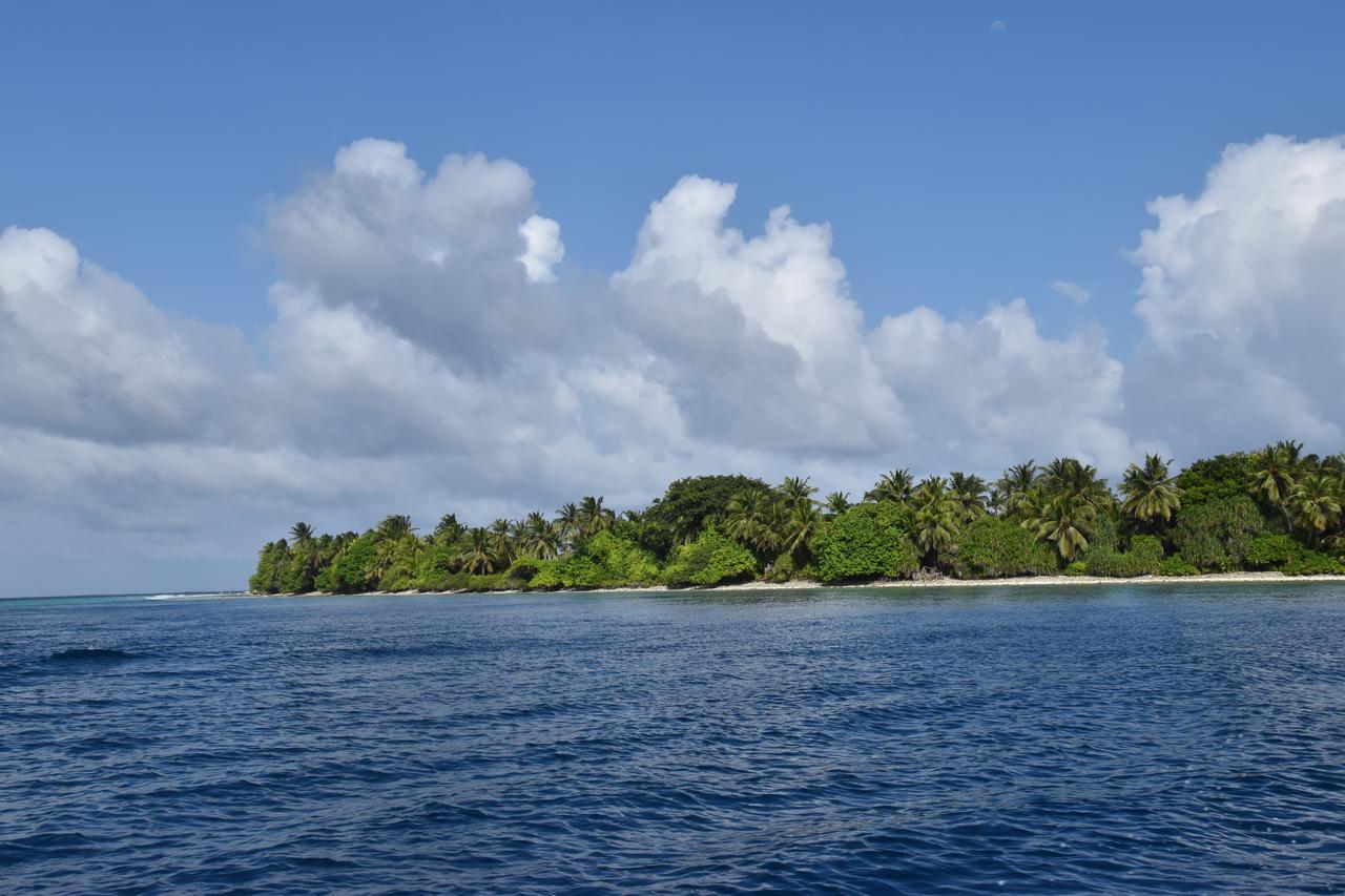 Lagoon Villa Maldives Thoddoo Zewnętrze zdjęcie