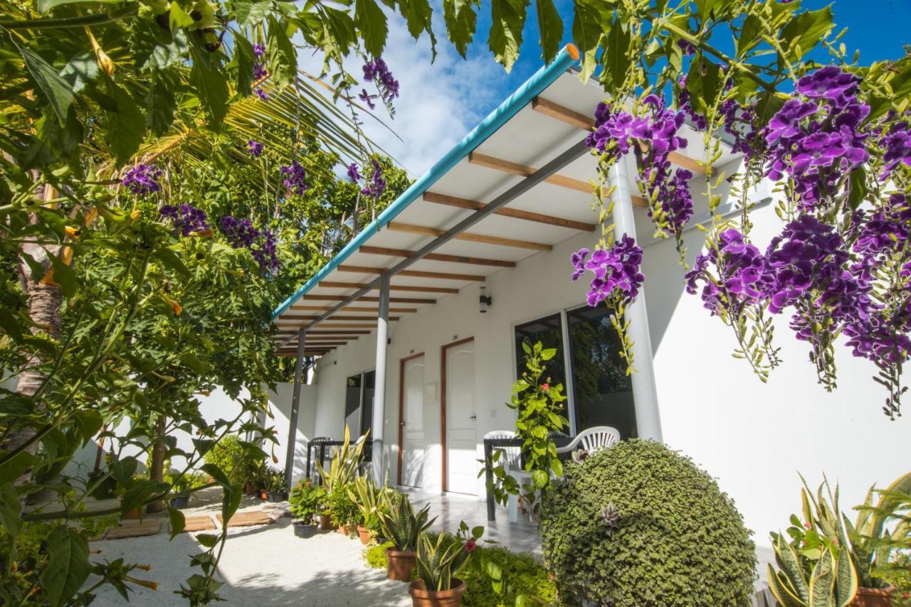 Lagoon Villa Maldives Thoddoo Zewnętrze zdjęcie