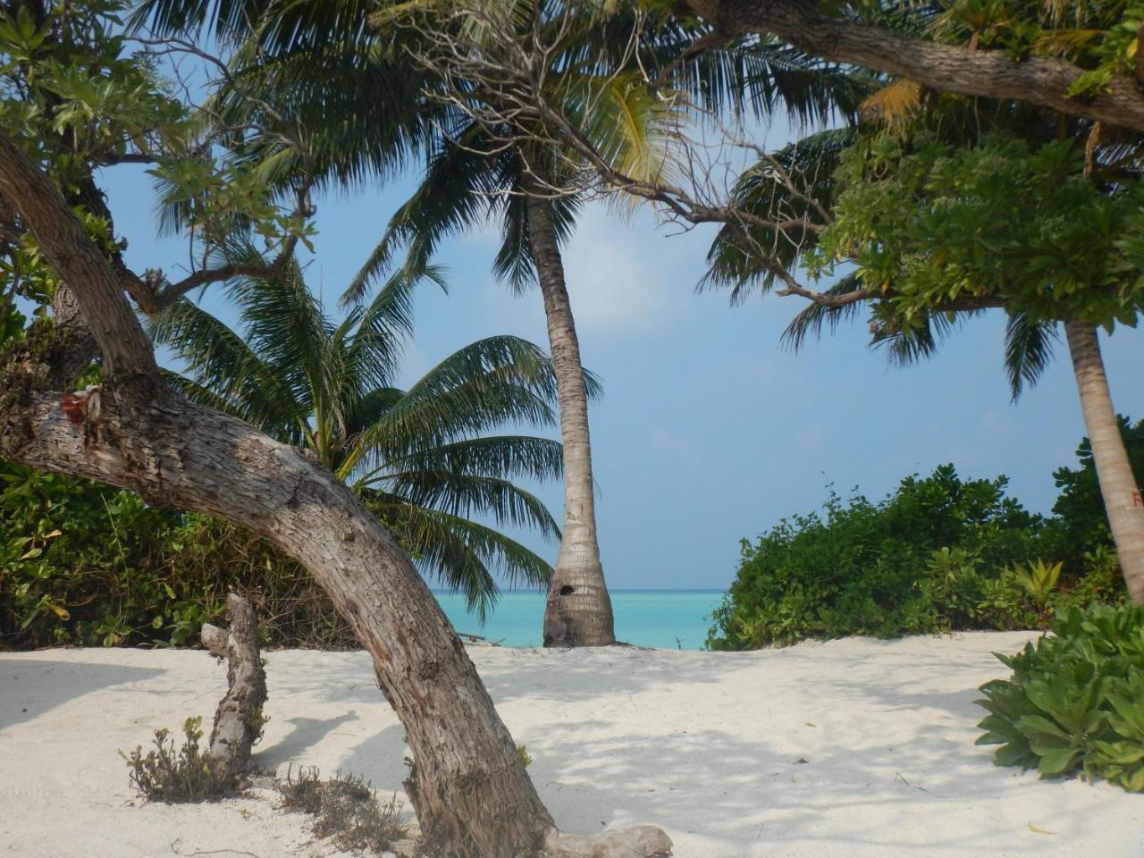 Lagoon Villa Maldives Thoddoo Zewnętrze zdjęcie